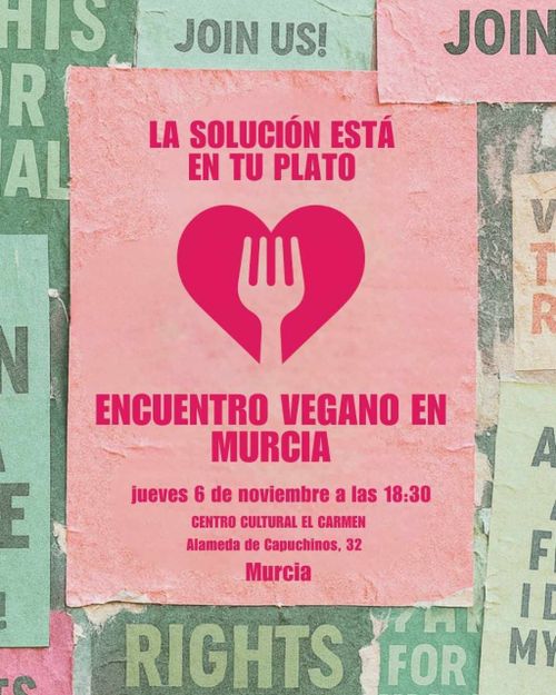 Un corazón que tiene dentro un tenedor.
LA SOLUCIÓN ESTÁ EN TU PALTO
ENCUENTRO VEGANO EN MURCIA
JUEVES 8 D NOVIEMBRE A LAS 18.30
CENTRO SOCIAL EL CARMEN
Alameda de Capuchinos, 32 Murcia