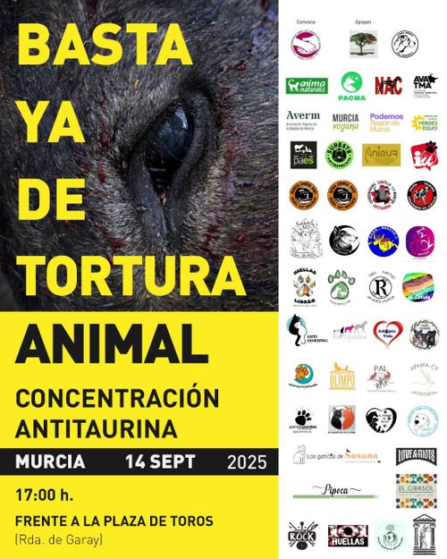 Cartel del evento con una parte de cabeza de un toro ensangrentada y se ve su ojo.

A la derecha en pequeño se ven muchos logos de colectivos que se suman a la convocatoria.

Murcia
14 Septiembre 2025
17:00
Frente a la plaza de toros
(Rda. de Garay)